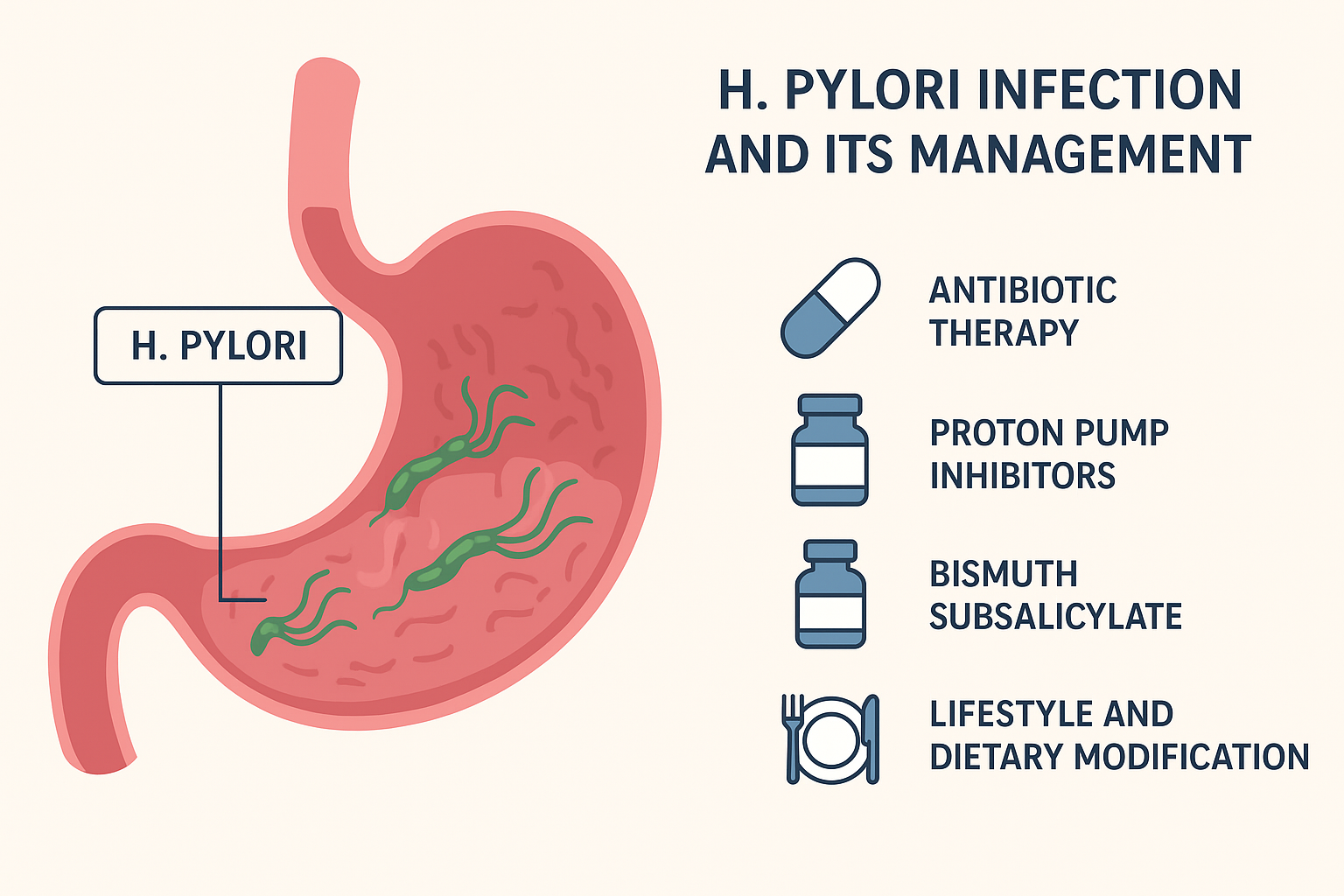H. Pylori Infection and Its Management: Causes, Symptoms, and Treatment